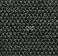 Грязезащитные покрытия Forbo Coral T32 320036200 Steel фото 1 | FLOORDEALER